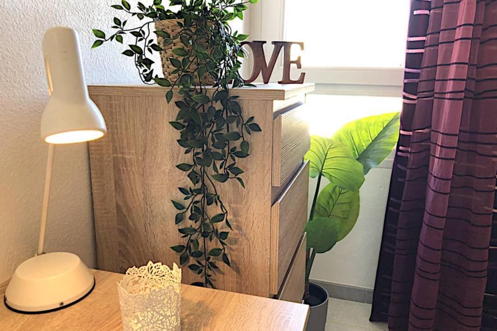 Apartamento Minerva ベナルマデナ エクステリア 写真